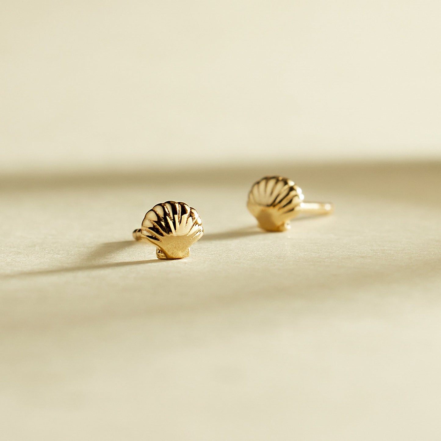 Shell Stud Earrings