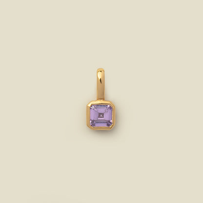 February Birthstone Charm