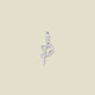 Script Initial P Charm
