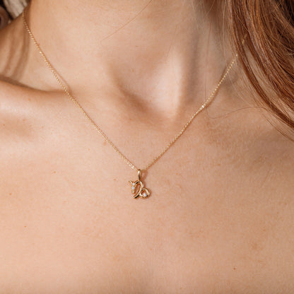 Capricorn Zodiac Charm