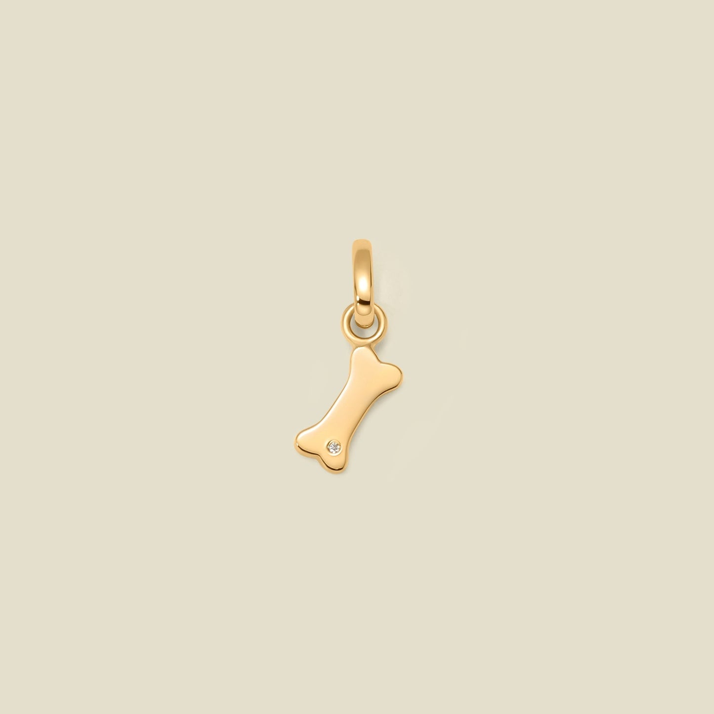 Dog Bone Charm