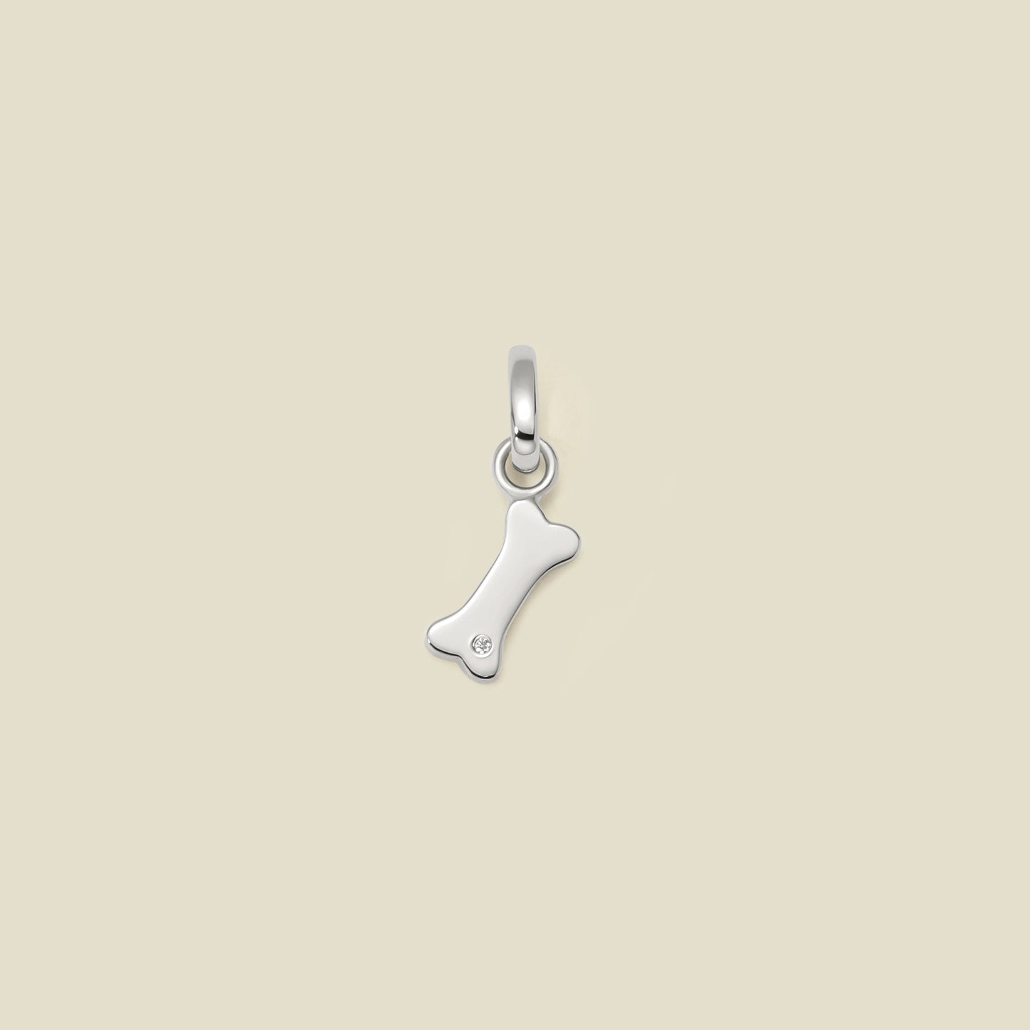 Dog Bone Charm