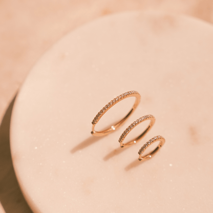 Luxe Hoop Earrings Earring