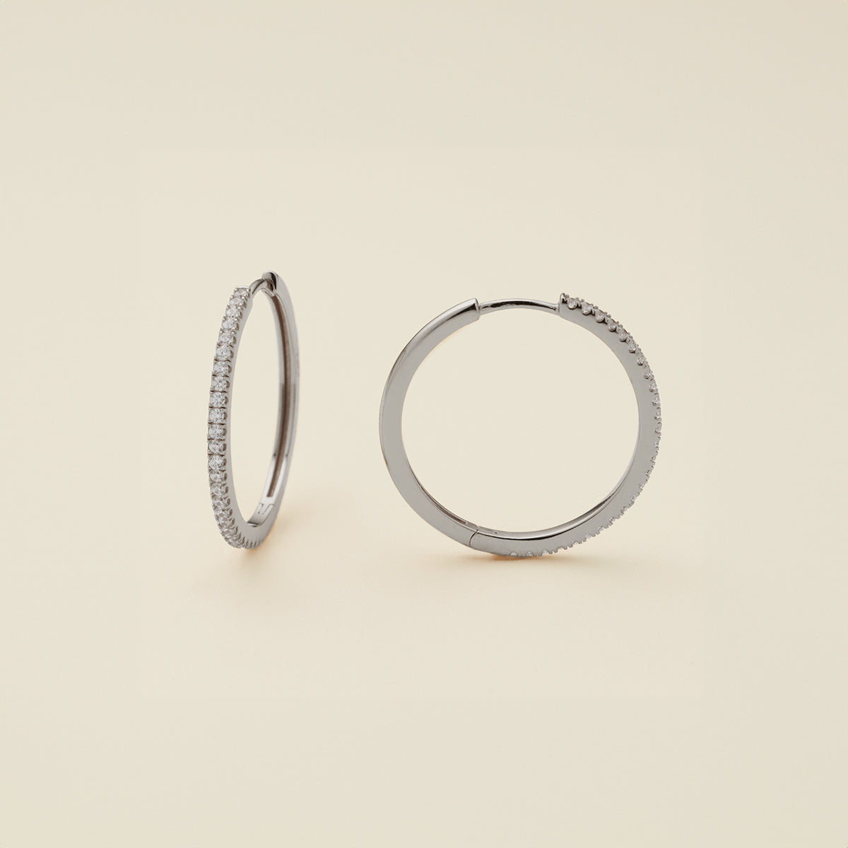 Luxe Hoop Earrings Earring