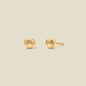 Shell Stud Earrings