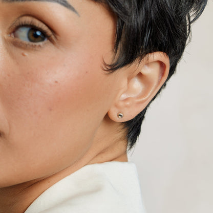 Shell Stud Earrings