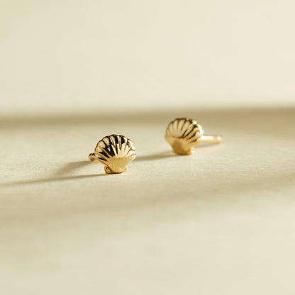Shell Stud Earrings