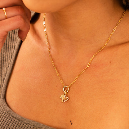 Jude Link Lock Necklace